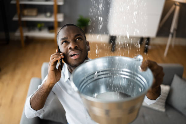 Best Water damage restoration services  in Cypress Lake, FL