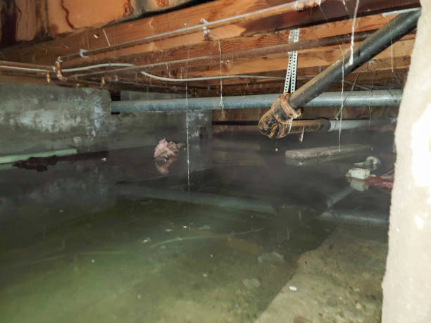 Best Commercial water damage restoration  in Cypress Lake, FL