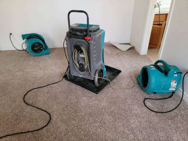 Best Water damage cleanup near me  in Cypress Lake, FL