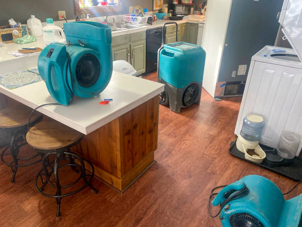Best Ceiling water damage repair  in Cypress Lake, FL