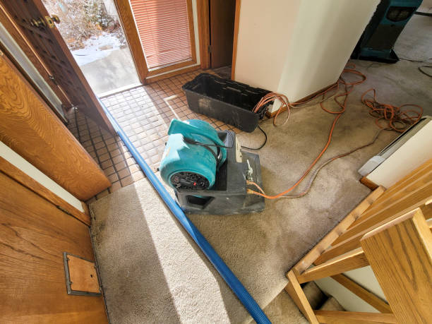 Best Basement water damage restoration  in Cypress Lake, FL