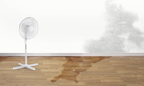 Best Local water damage restoration  in Cypress Lake, FL