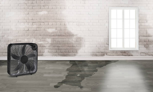 Best 24/7 water damage repair  in Cypress Lake, FL