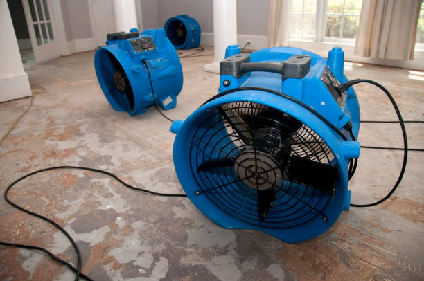 Best Sewage cleanup and water damage restoration  in Cypress Lake, FL