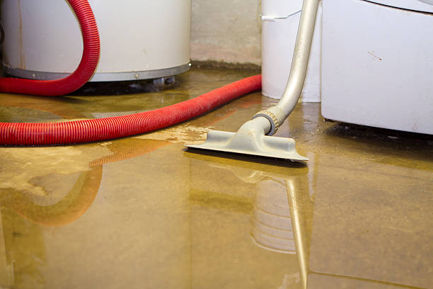 Best Emergency water damage restoration  in Cypress Lake, FL