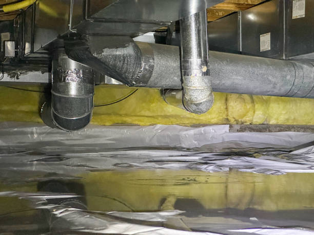 Best Water damage cleanup near me  in Cypress Lake, FL