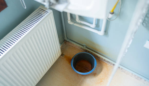 Best Fire Damage Restoration  in Cypress Lake, FL