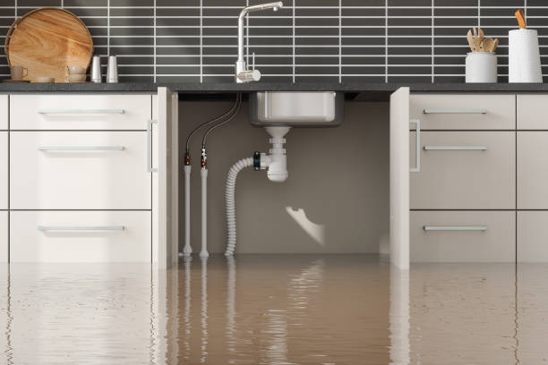 Best Mold removal after water damage  in Cypress Lake, FL