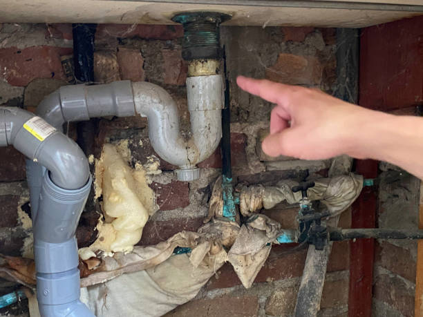 Best Ceiling water damage repair  in Cypress Lake, FL