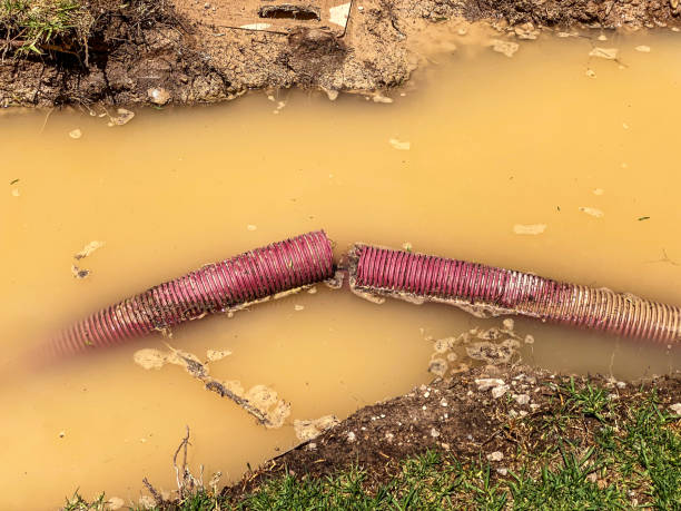 Best 24-hour water damage restoration  in Cypress Lake, FL