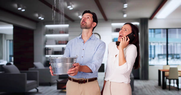 Best Flood restoration services  in Cypress Lake, FL